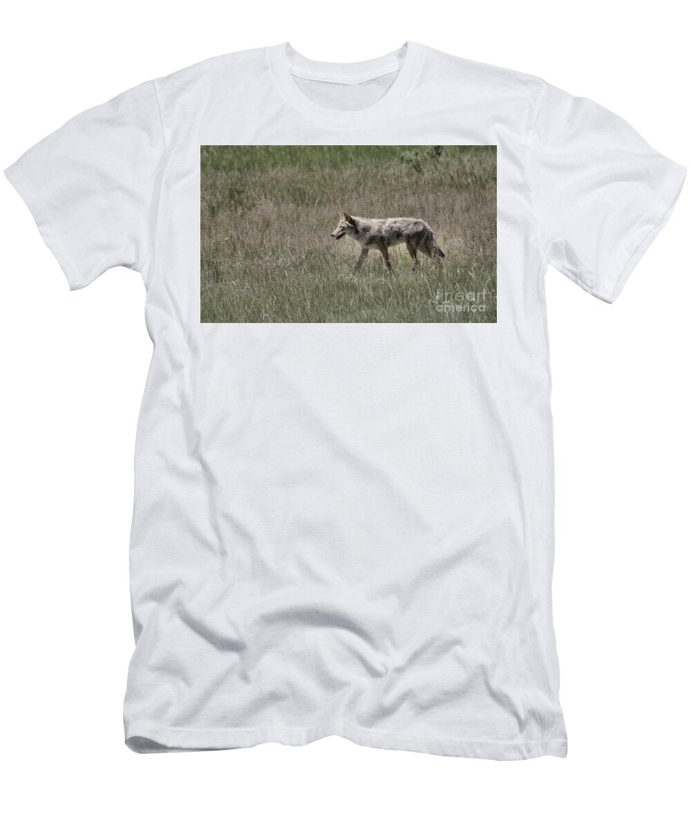 2 Coyote on the Prowl Jeff Swan T-Shirt