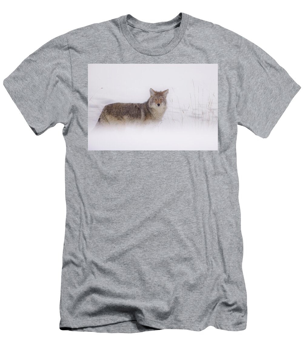2 Coyote Portrait Isabella Smedley T-Shirt