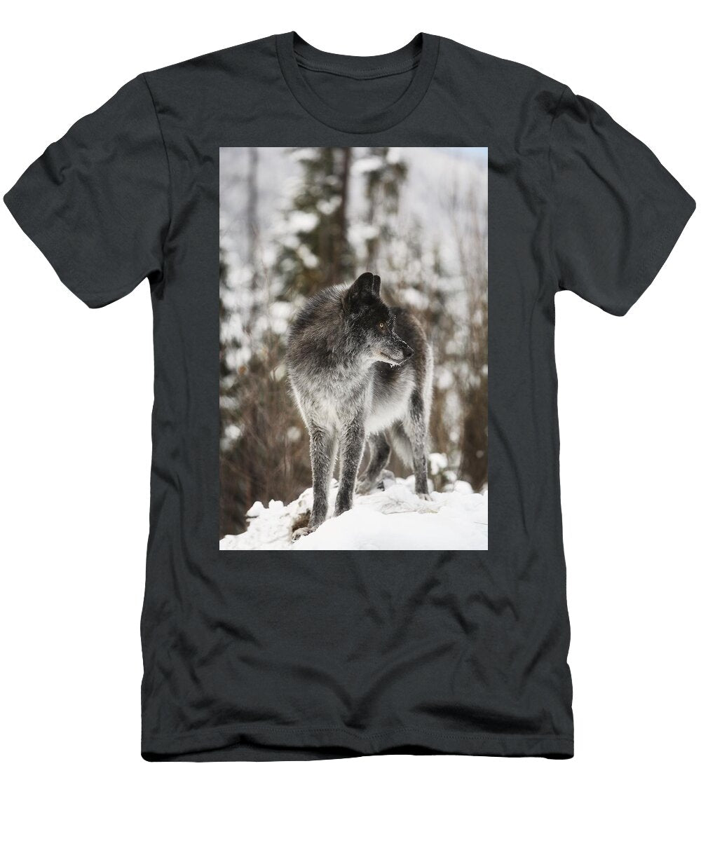 2 Coyote Richard Wear T-Shirt