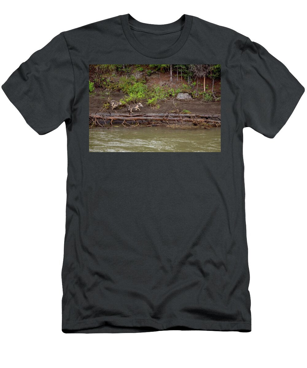 2 Coyotes Play Chase George Erwin Turner T-Shirt