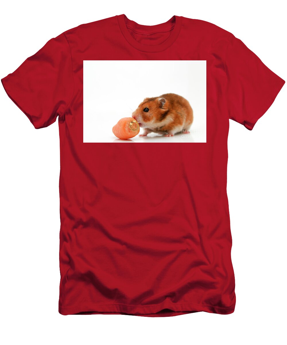 2 Curious Hamster Yedidya Yos Mizrachi T-Shirt