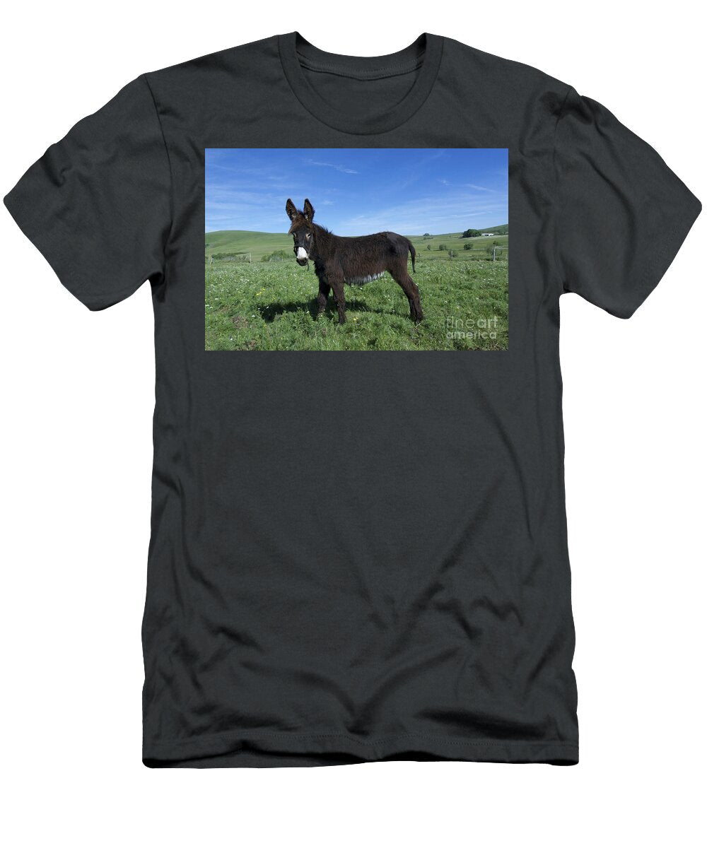 2 Donkey Bernard Jaubert T-Shirt