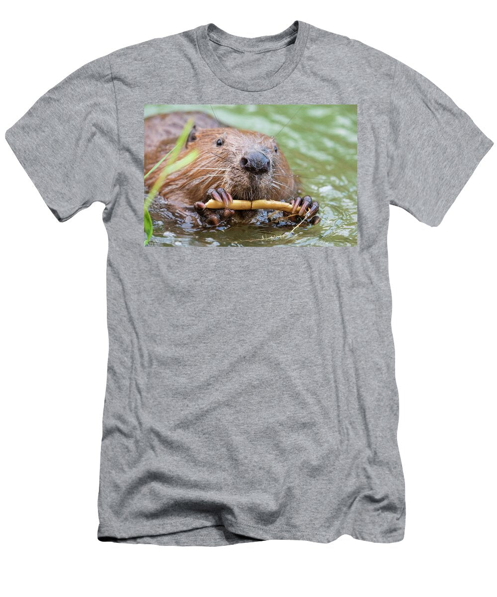 2 European Beaver Feeding in Water Alhama River Ebro Eduardo Blanco Natureplcom T-Shirt