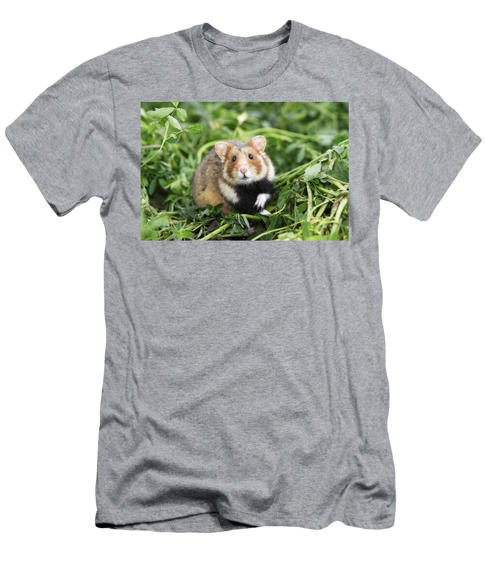 2 European Hamster M Watson T-Shirt