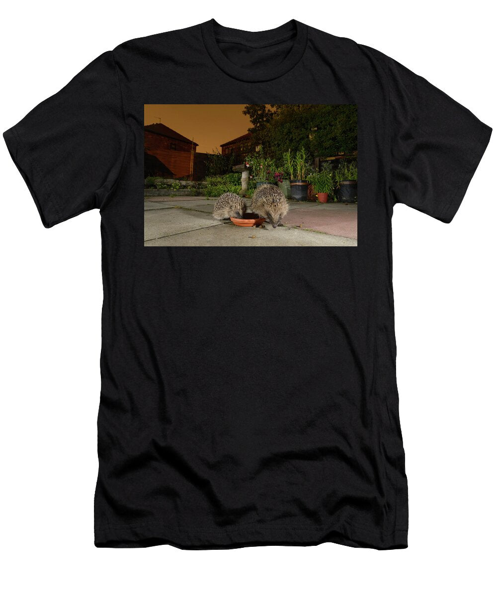 2 European Hedgehog Feeding From Bowl in Urban Garden Terry Whittaker Natureplcom T-Shirt