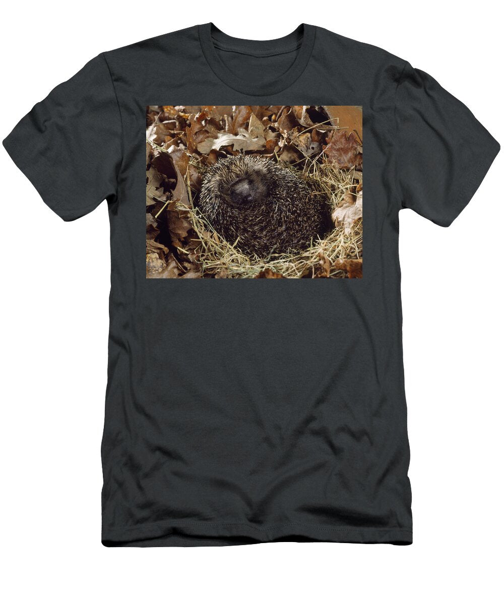 2 European Hedgehog John Daniels T-Shirt