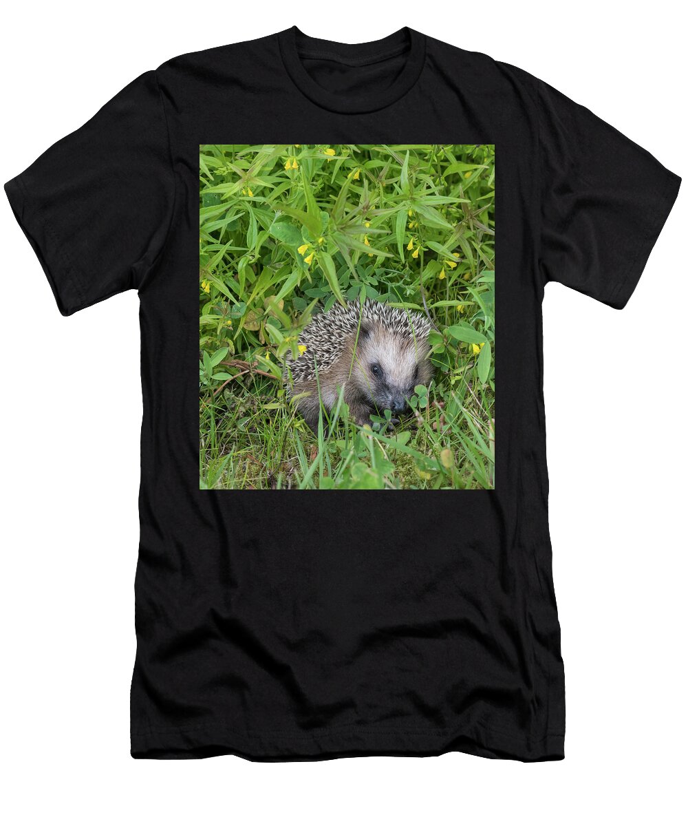 2 European Hedgehog Juvenile Jyvaskyla Central Finland Jussi Murtosaari Natureplcom T-Shirt