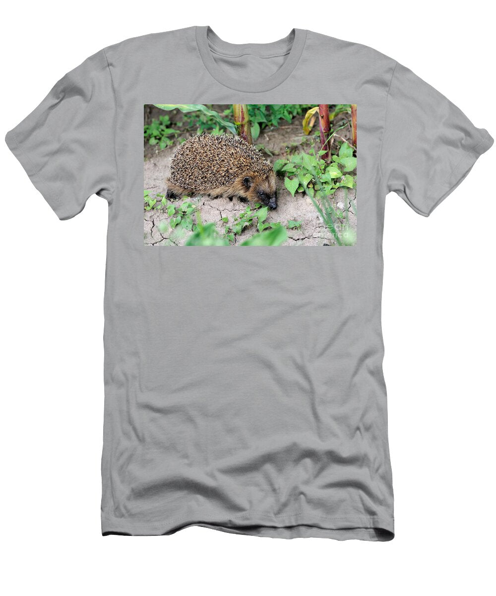 2 European Hedgehog Reiner Bernhardt T-Shirt