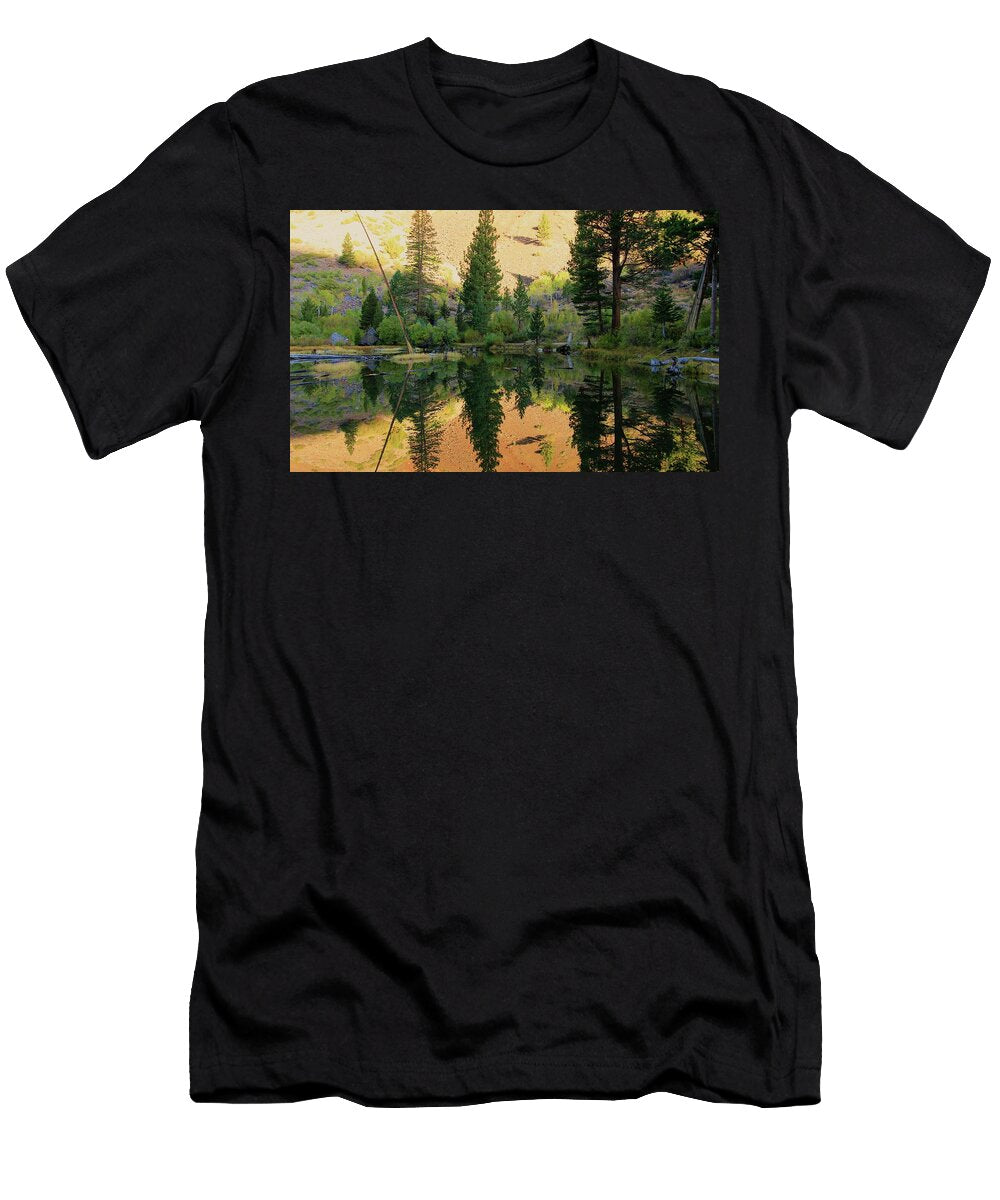 2 Live in the Light Sean Sarsfield T-Shirt