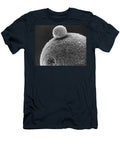 2 Polar Body on Hamster Ovum Sem David M Phillips T-Shirt