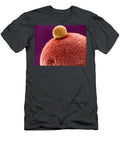2 Polar Body on Ovum Sem David M Phillips T-Shirt