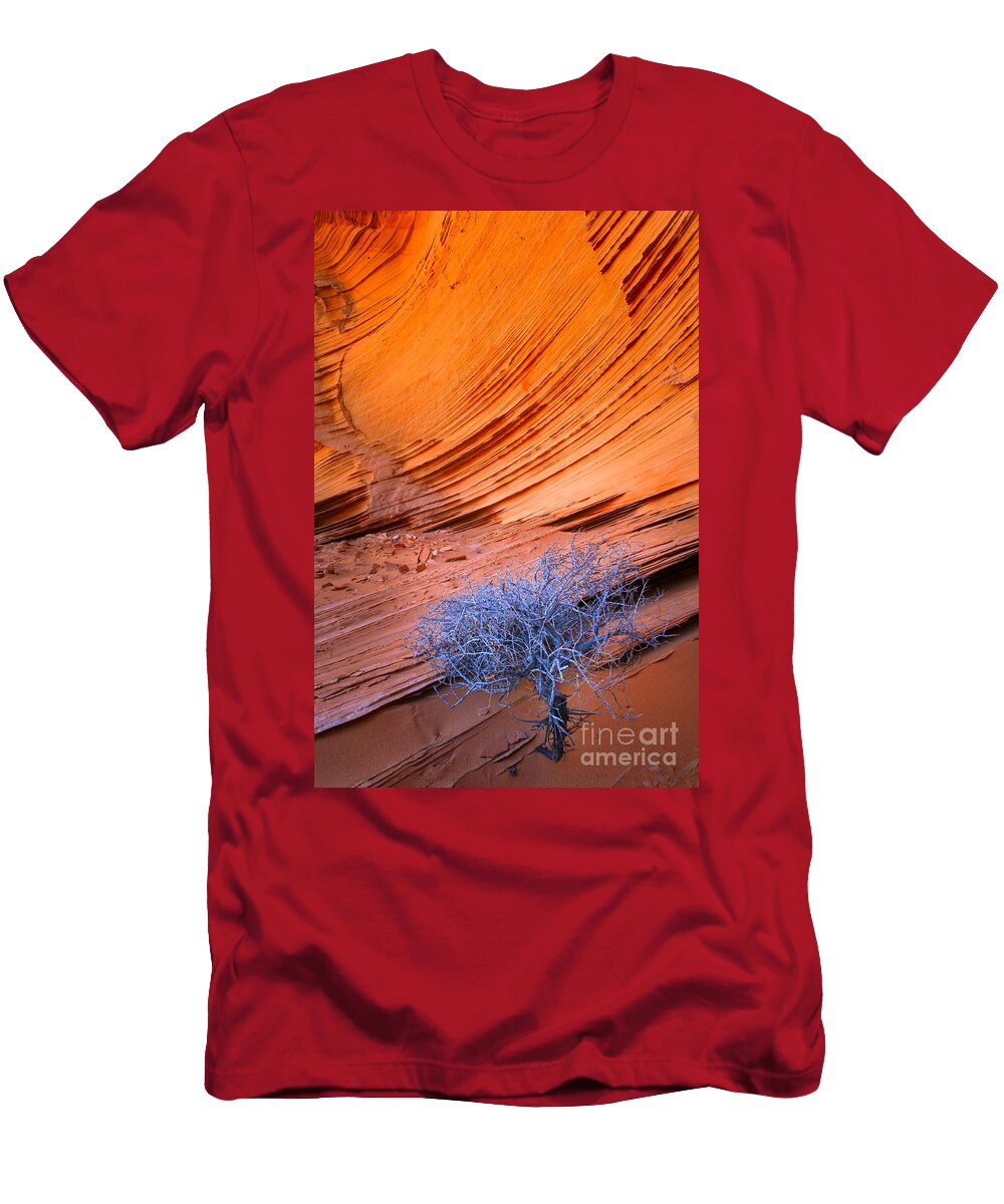 2 Rainbow Rocks Dead Bush 1 Inge Johnsson T-Shirt