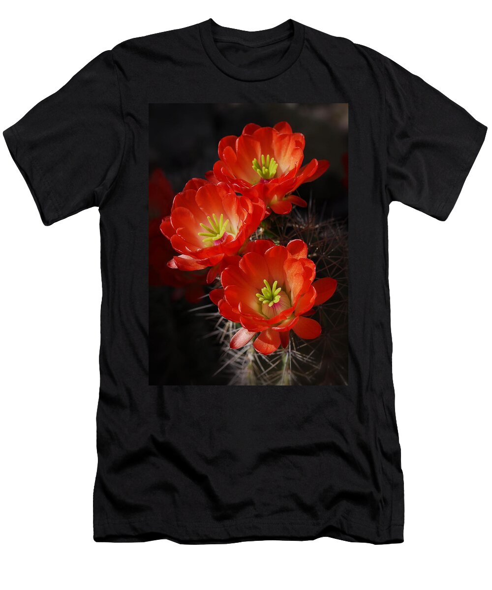 2 Red Hedgehog Saija Lehtonen T-Shirt