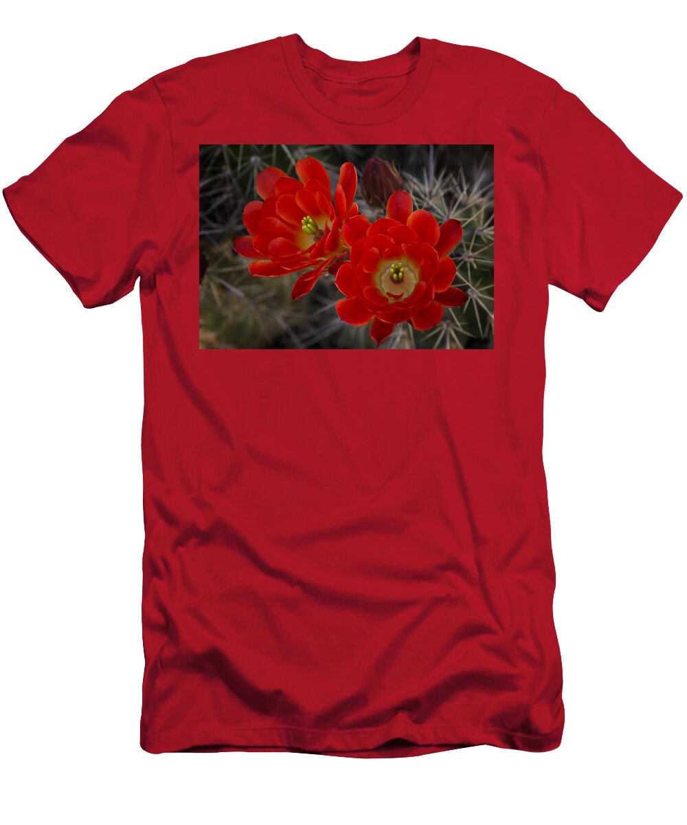 2 Red Hot Hedgehog Saija Lehtonen T-Shirt