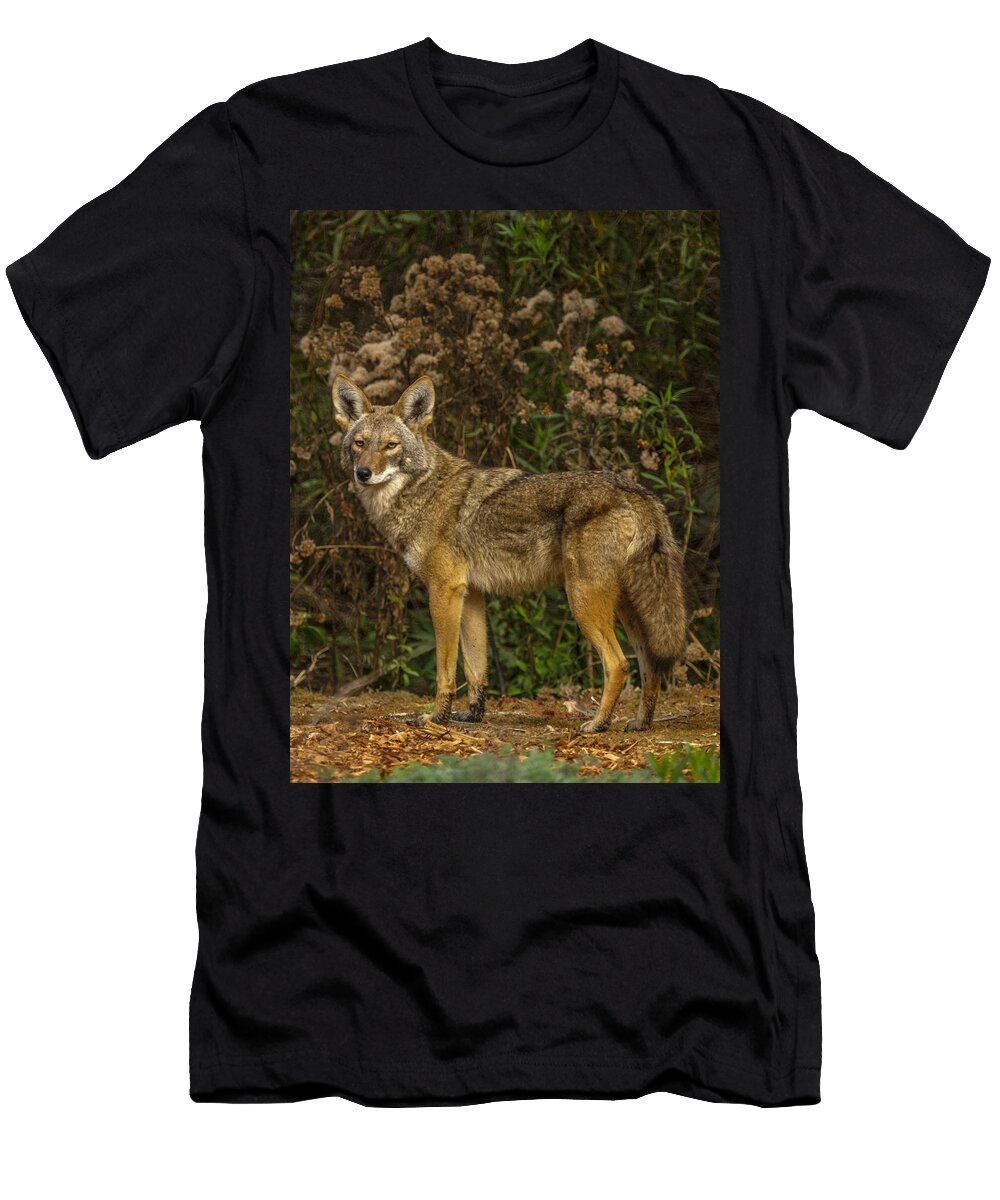 2 the Coyote Ernie Echols T-Shirt