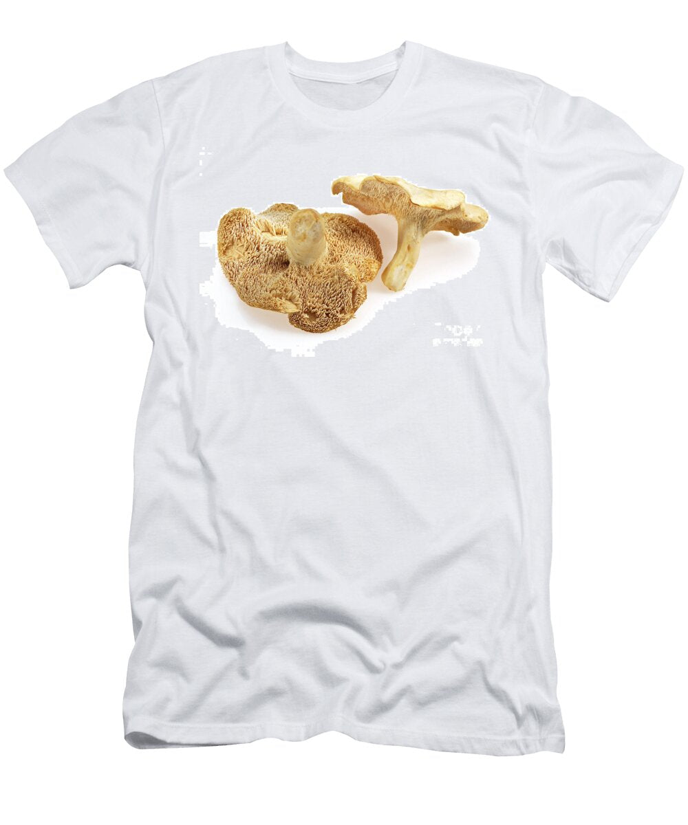 2 Wood Hedgehog Mushroom Gerard Lacz T-Shirt
