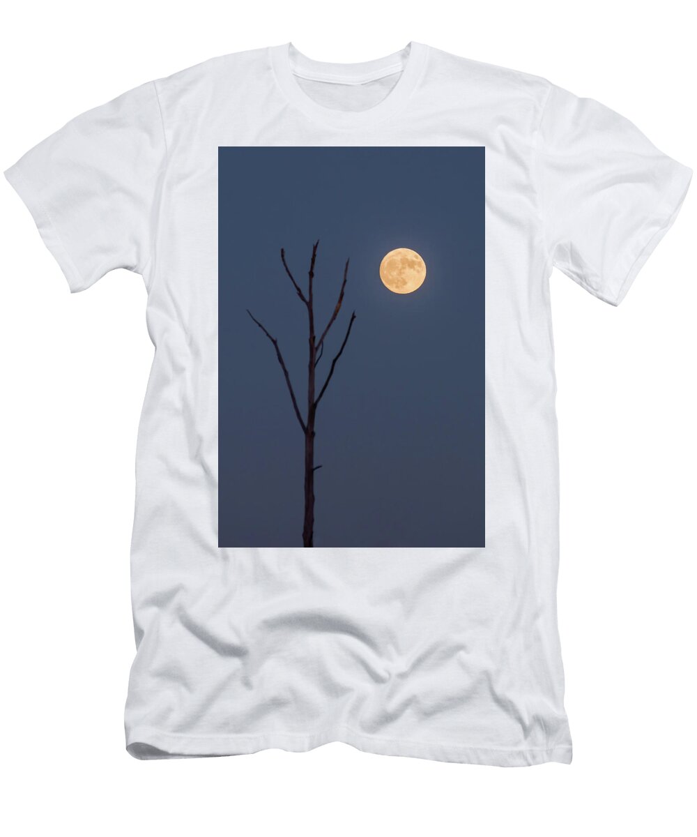 2016 November Supermoon Minimalist Nj Terry Deluco T-Shirt