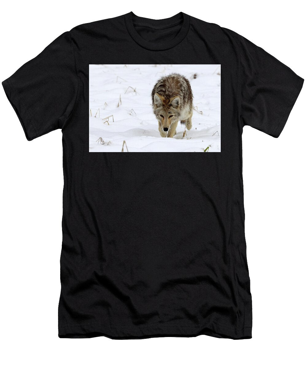 29 Coyote Yellowstone USA Bob Savage T-Shirt