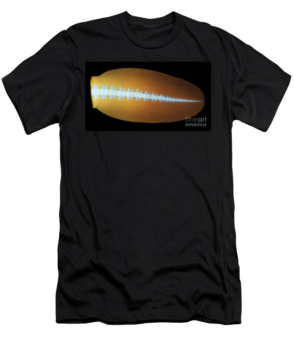 3 Beaver Tail X Ray Ted Kinsman T-Shirt