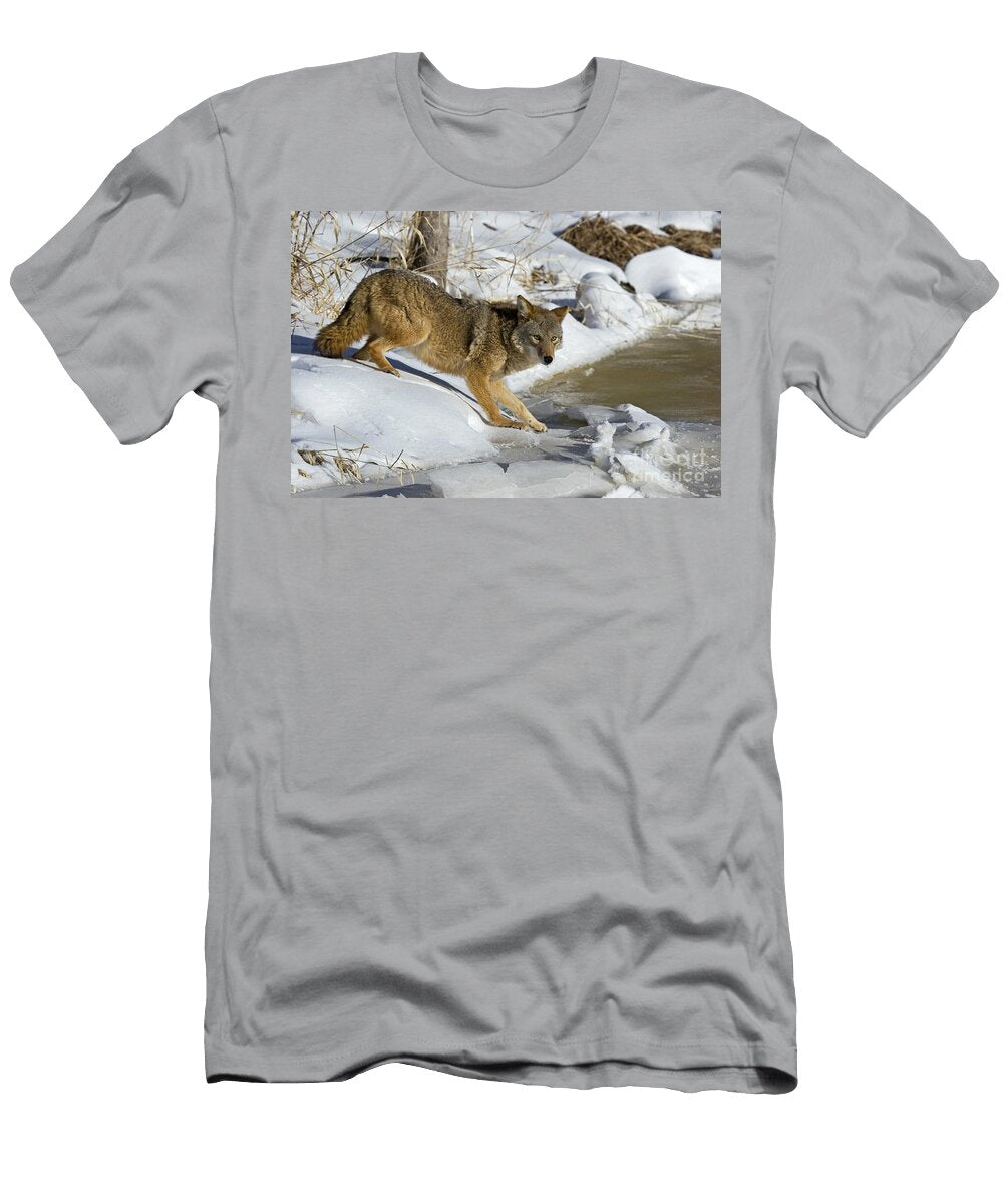 3 Coyote Linda Freshwaters Arndt T-Shirt