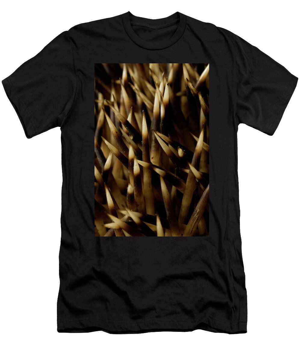 3 European Hedgehog Erinaceus Europaeus Aaron Ansarov T-Shirt