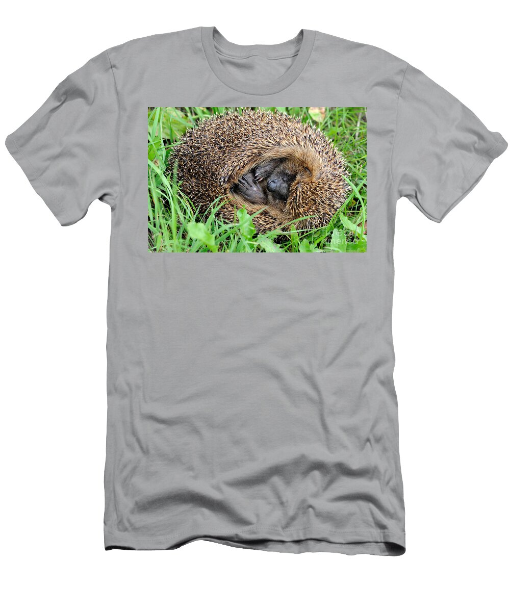 3 European Hedgehog Reiner Bernhardt T-Shirt