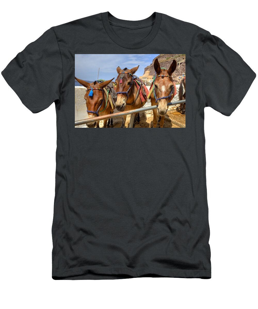 3 Fira Santorini Joana Kruse T-Shirt