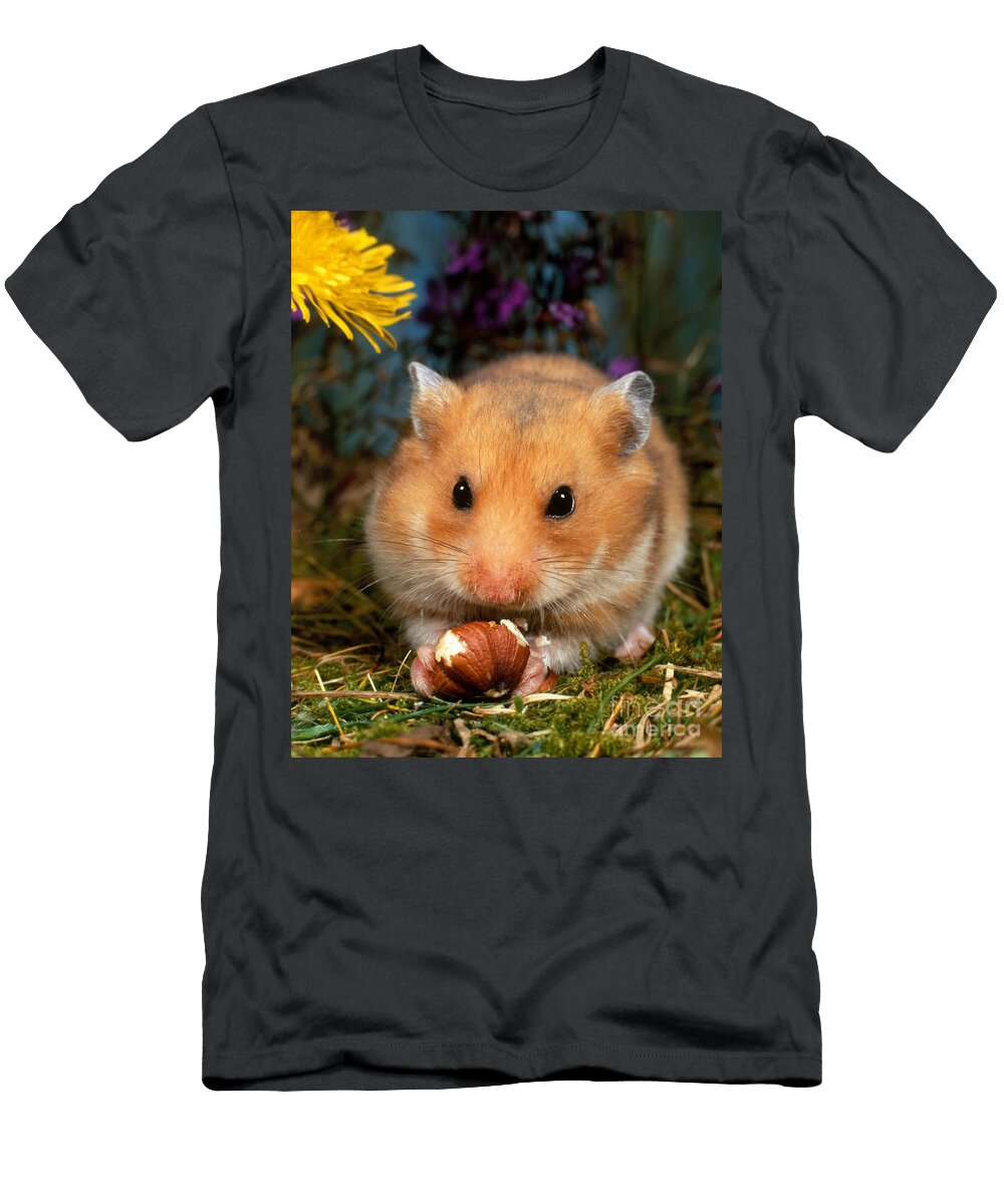 3 Golden Hamster Hans Reinhard T-Shirt
