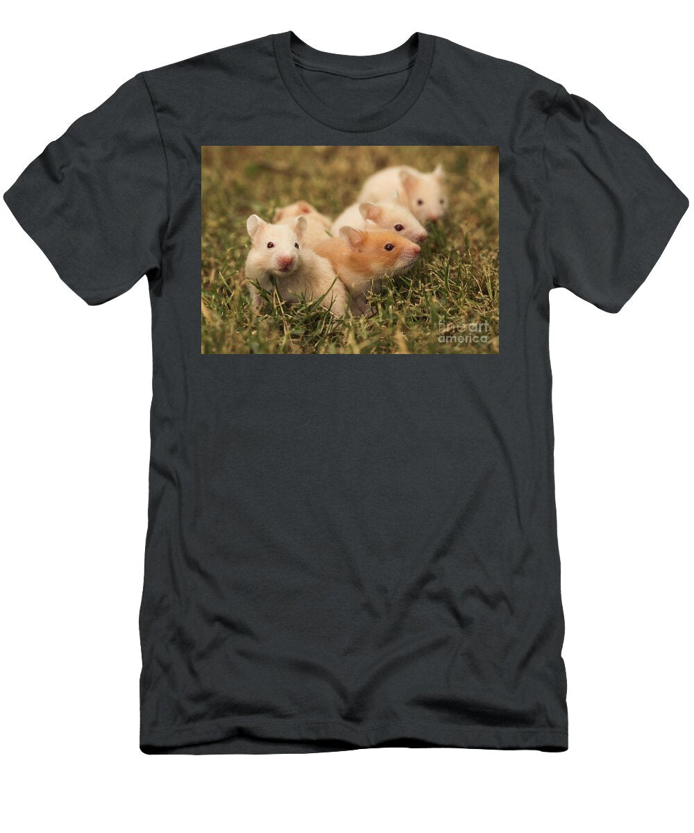 3 Golden Hamster Pet with Young Alon Meir T-Shirt