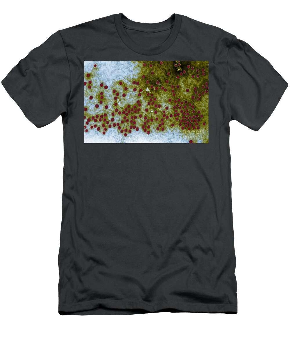 3 Parvovirus H 1 Em Science Source T-Shirt