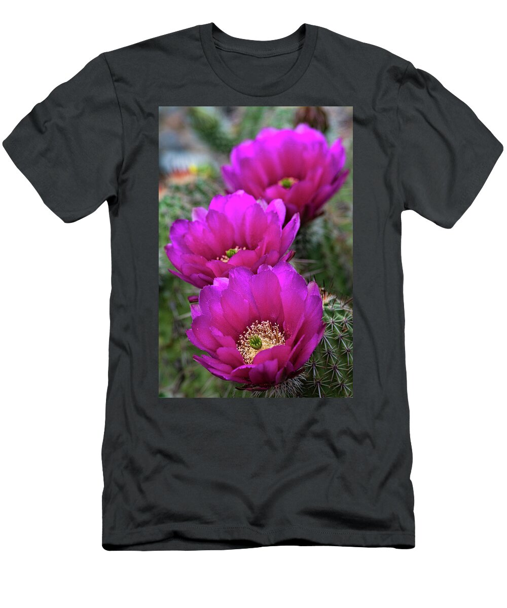 3 Pink Hedgehog Cactus Saija Lehtonen T-Shirt