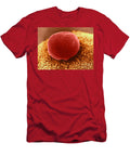 3 Polar Body on Ovum Sem David M Phillips T-Shirt