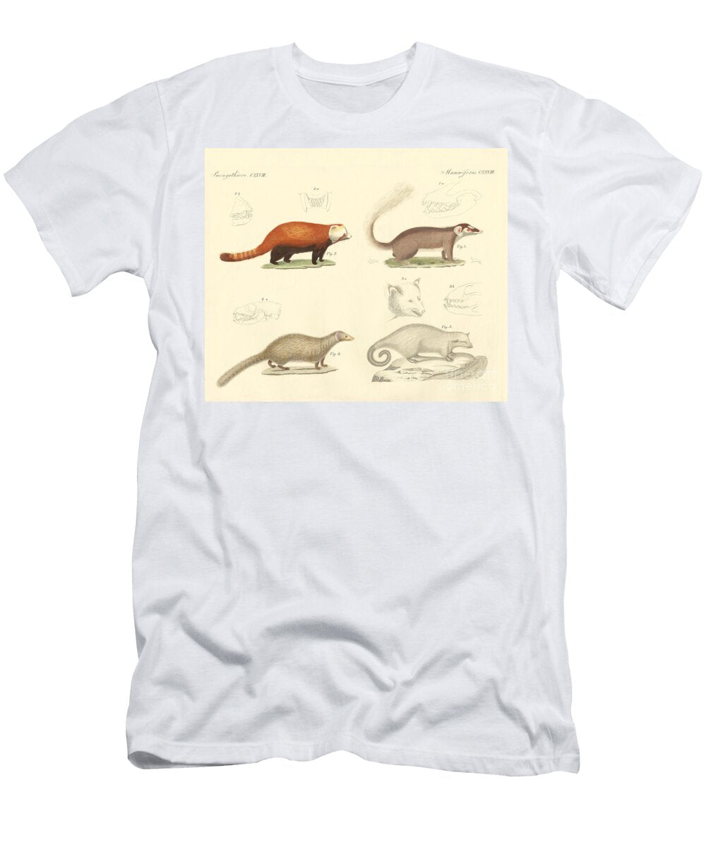 3 Strange Mammals German School T-Shirt