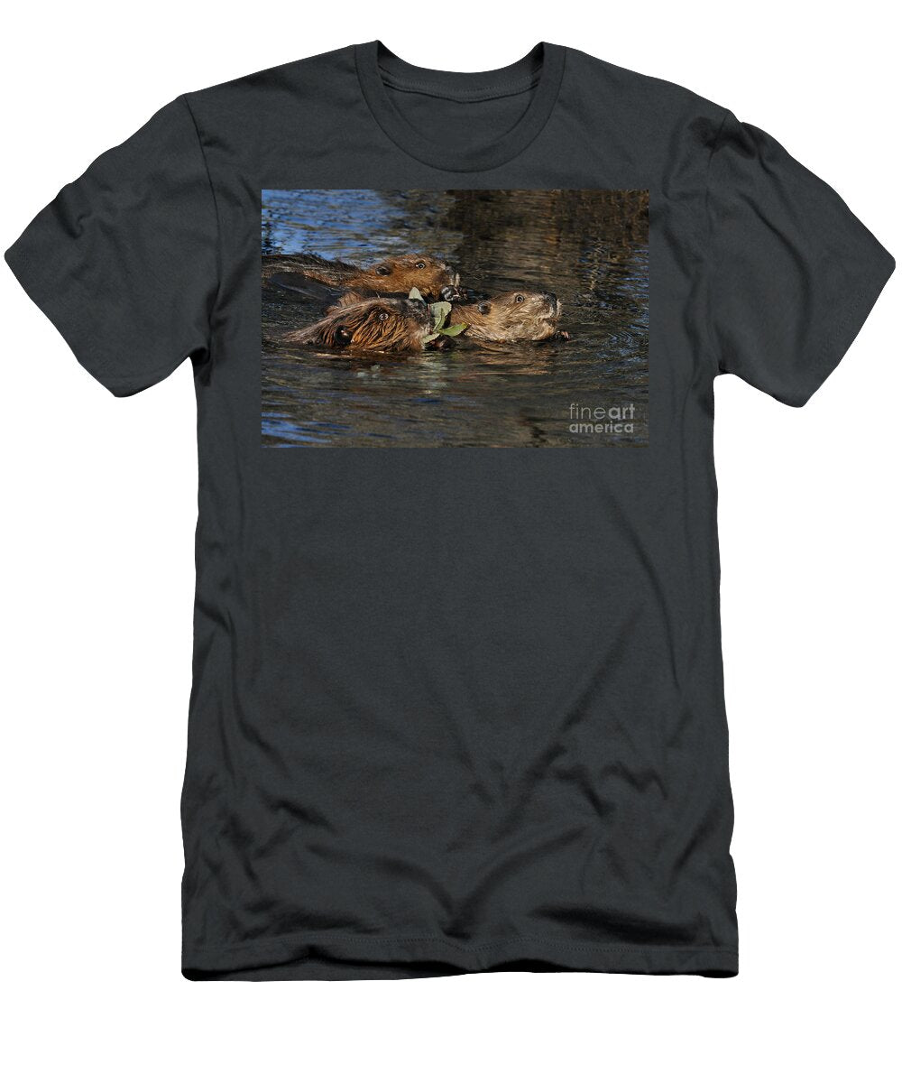 4 Beaver Castor Canadensis Ron Sanford T-Shirt