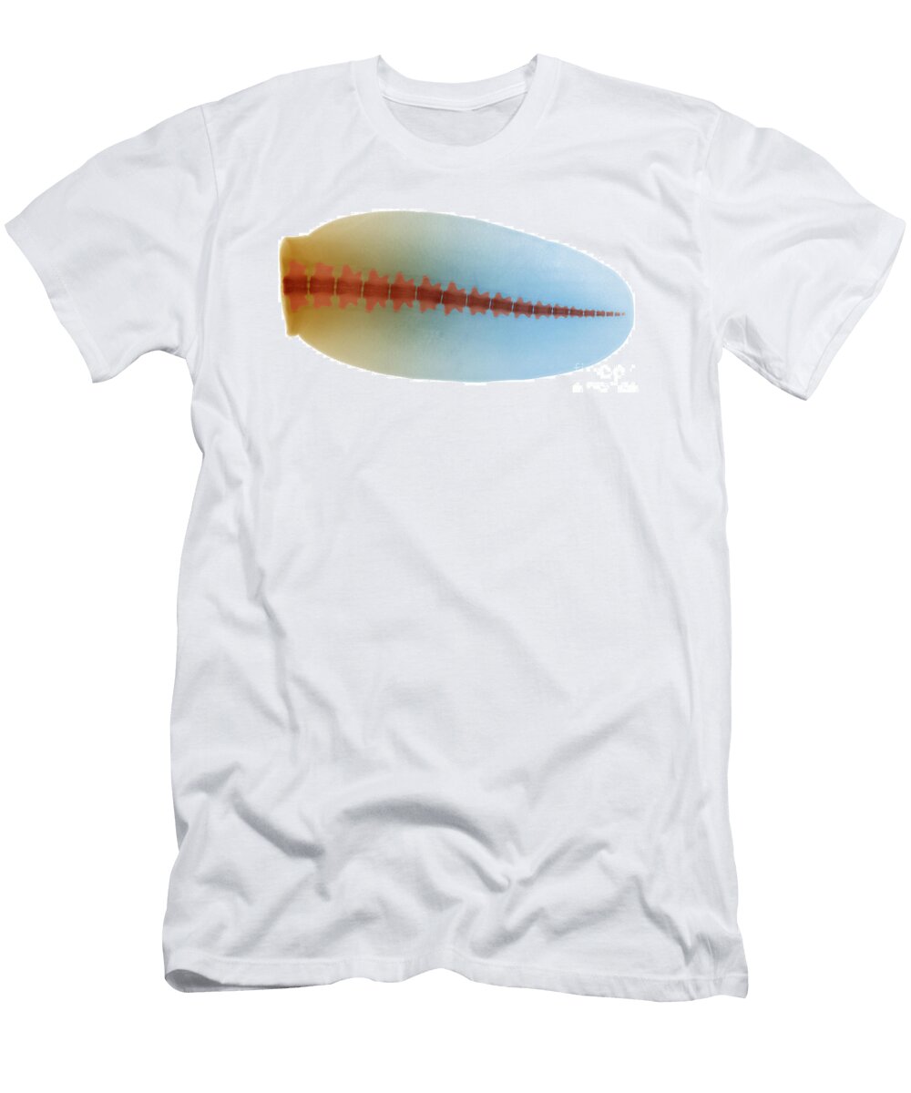 4 Beaver Tail X Ray Ted Kinsman T-Shirt