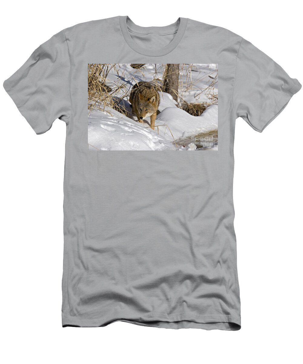 4 Coyote Linda Freshwaters Arndt T-Shirt