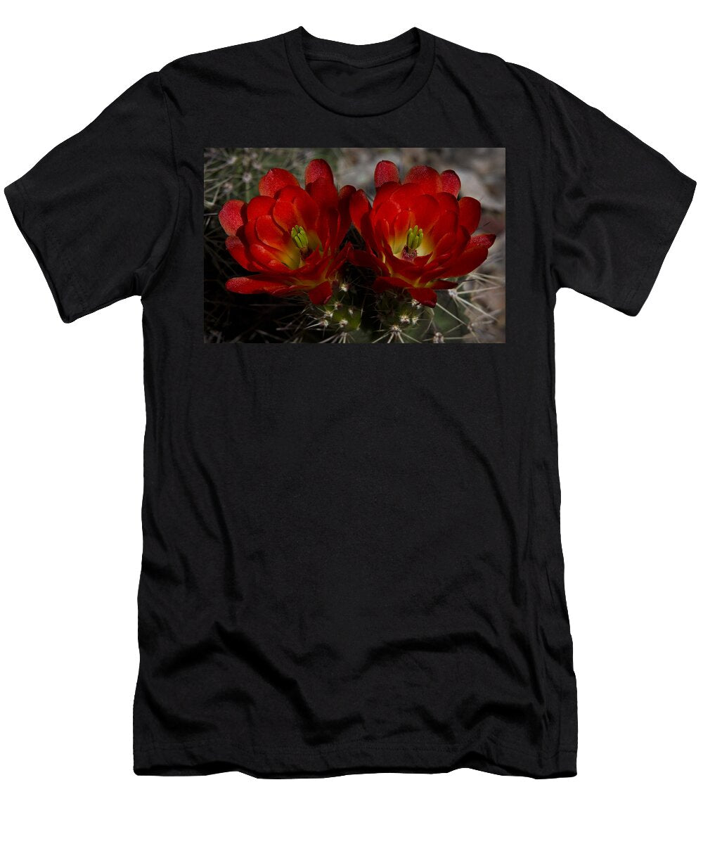 4 Hedgehog Cactus Saija Lehtonen T-Shirt