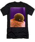 4 Polar Body on Ovum Sem David M Phillips T-Shirt