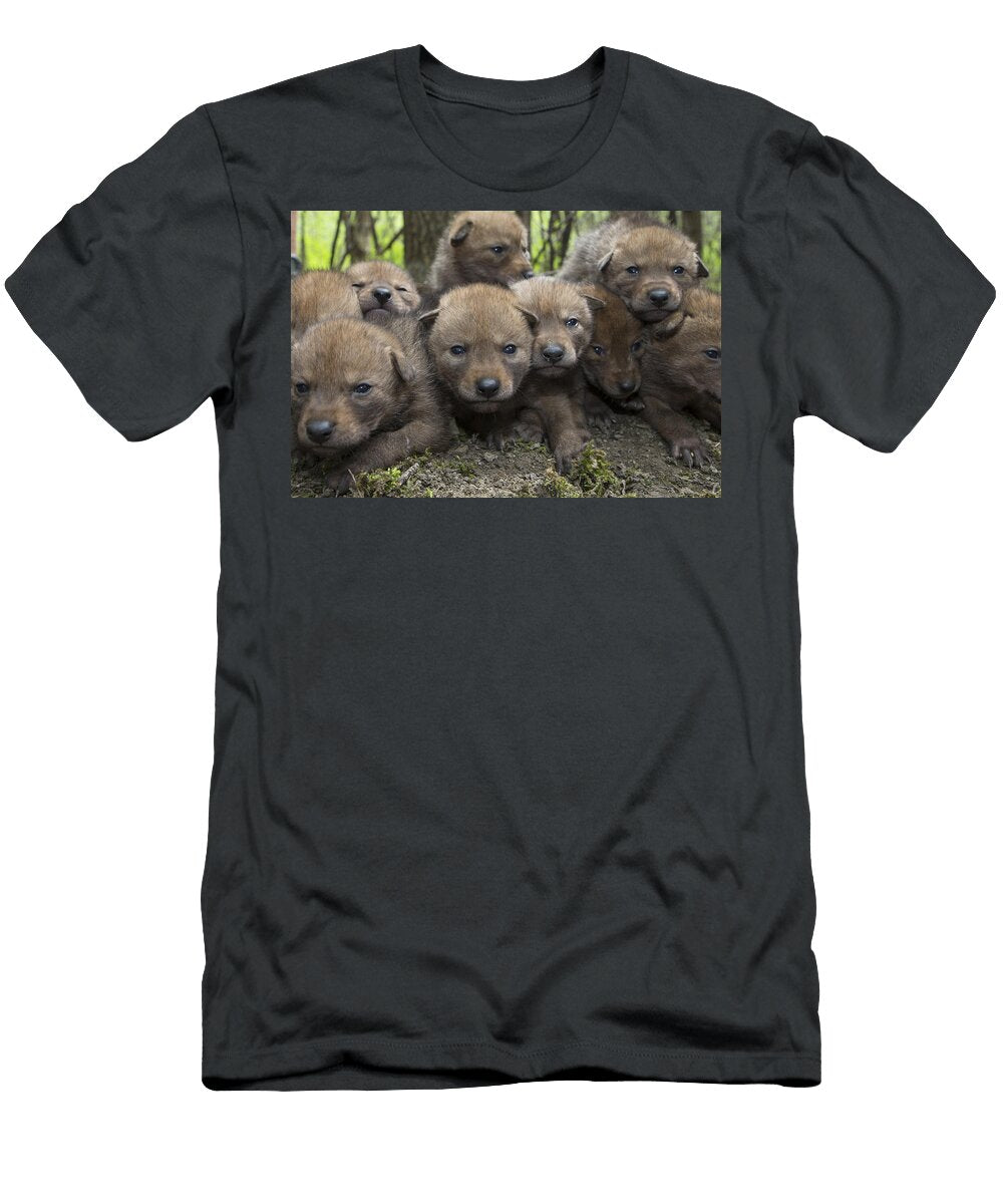4 Week Old Wild Coyote Pups in Chicago Suzi Eszterhas T-Shirt