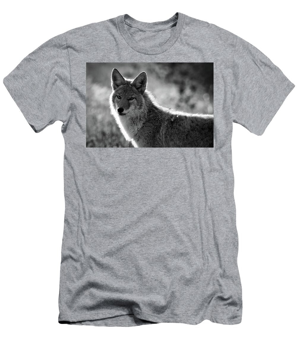 4 Yellowstone Coyote Neal Herbert T-Shirt