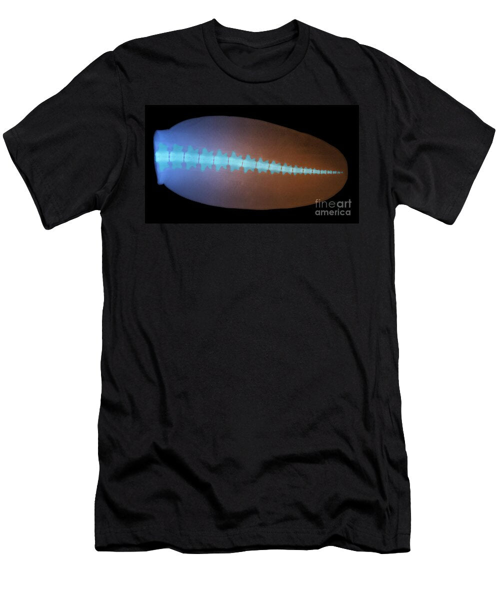 5 Beaver Tail X Ray Ted Kinsman T-Shirt