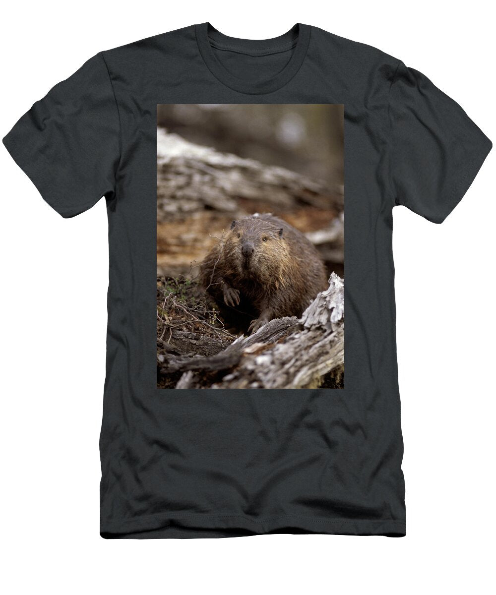 5 Environmental Woes of Tierra Del Fuego Kevin Moloney T-Shirt