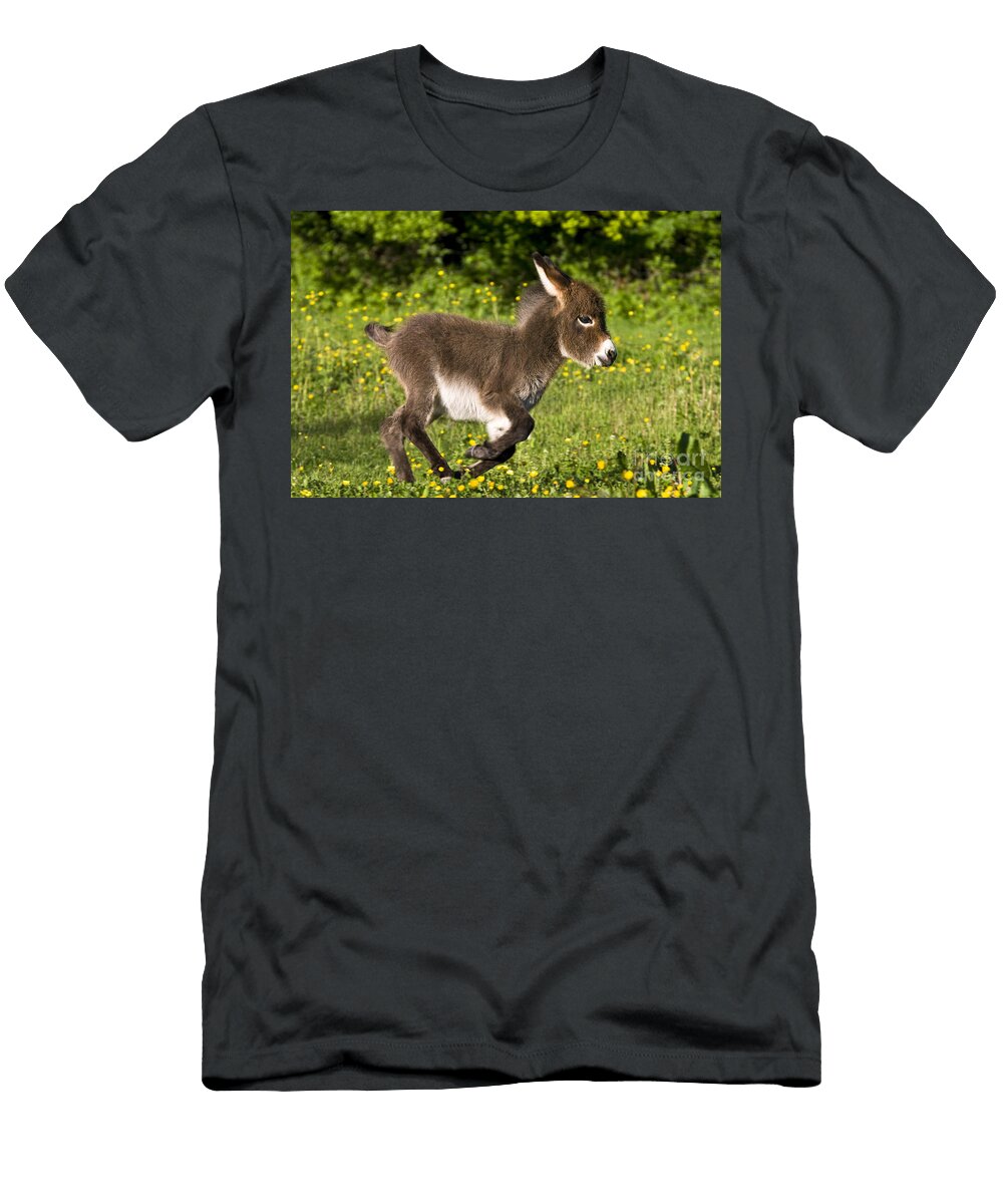 5 Miniature Donkey Foal Jean Louis Klein Marie Luce Hubert T-Shirt