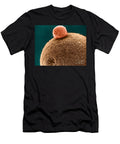 5 Polar Body on Ovum Sem David M Phillips T-Shirt