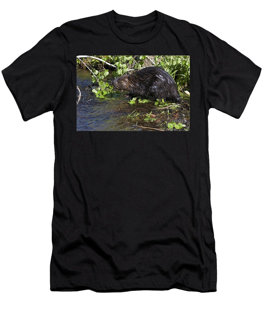 6 Beaver Linda Freshwaters Arndt T-Shirt
