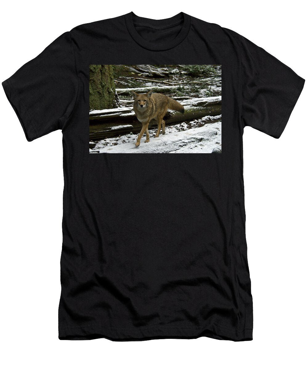6 Coyote Mark Newman T-Shirt