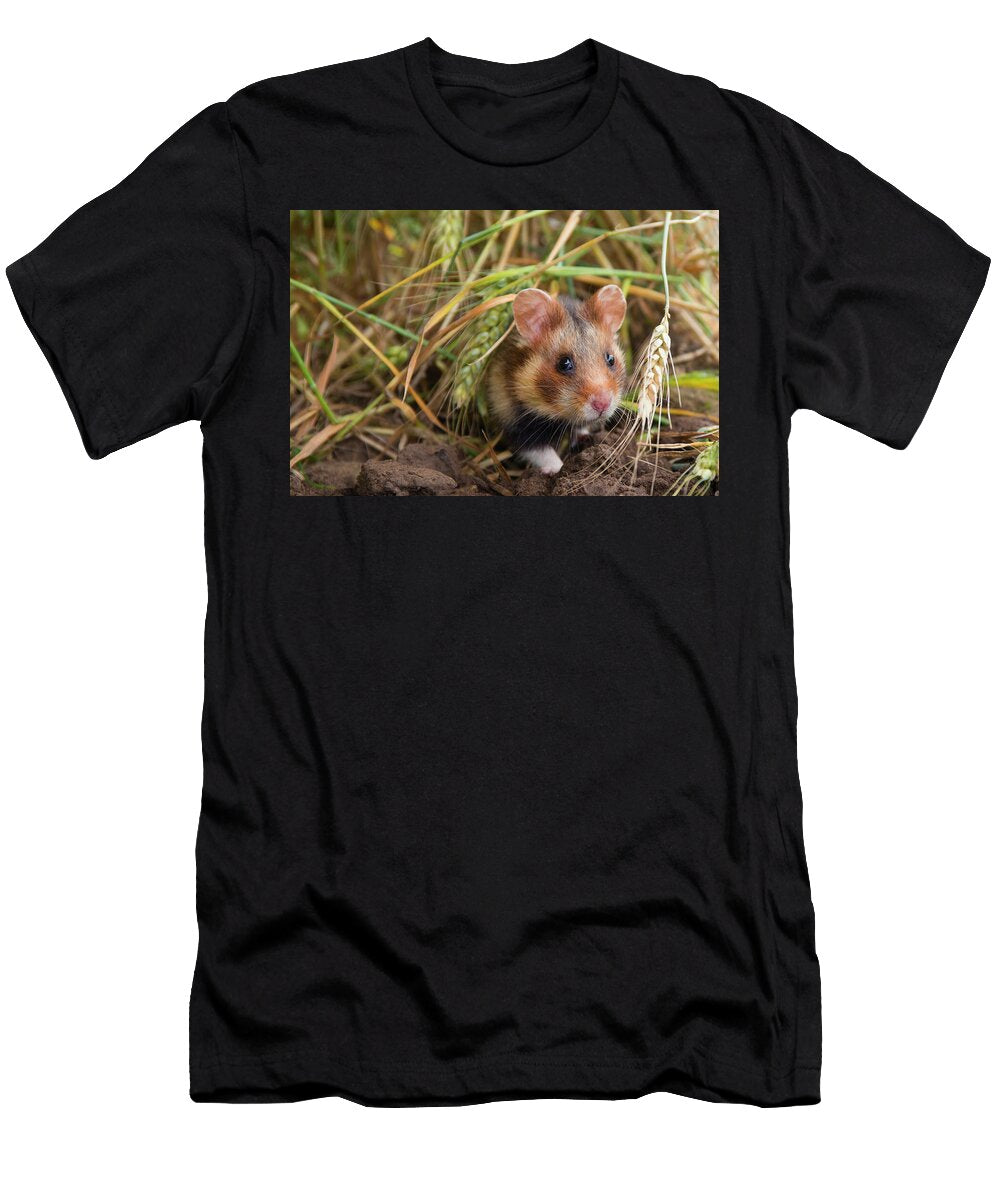 6 European Hamster in a Ripe Wheat Field Limburg the Edwin Giesbers Natureplcom T-Shirt