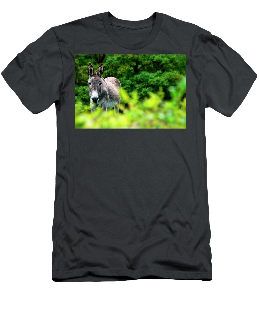 6 Somiedo Natural Park David Santiago Garcia T-Shirt