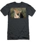 6 Winter in Grand Teton National Park Jose Azel T-Shirt