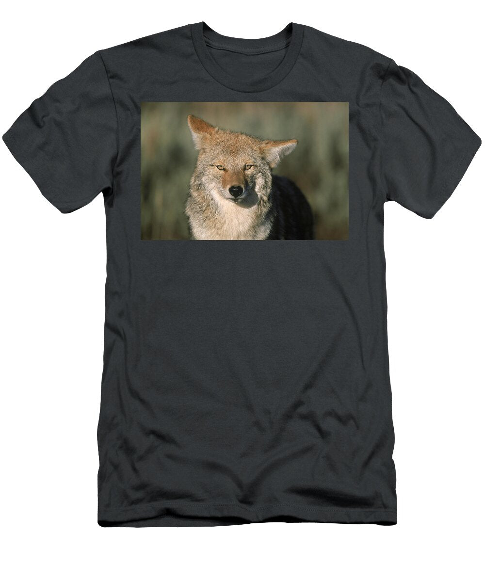 6 Winter in Grand Teton National Park Jose Azel T-Shirt